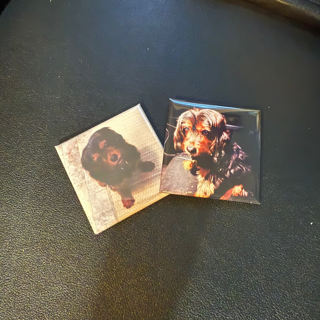 Custom Photo Magnets – Set of 2