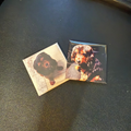 Custom Photo Magnets – Set of 2