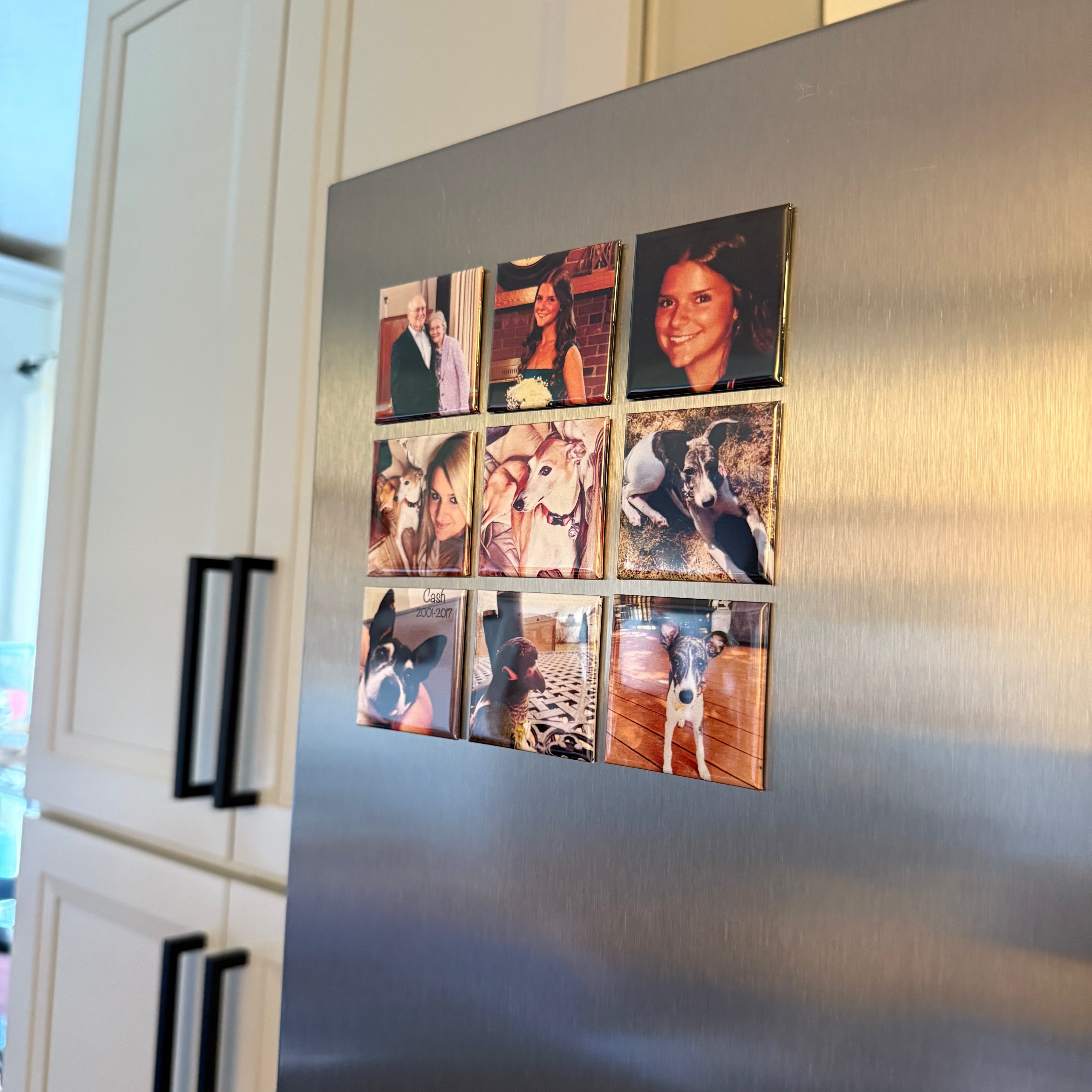 9 Photo Magnets