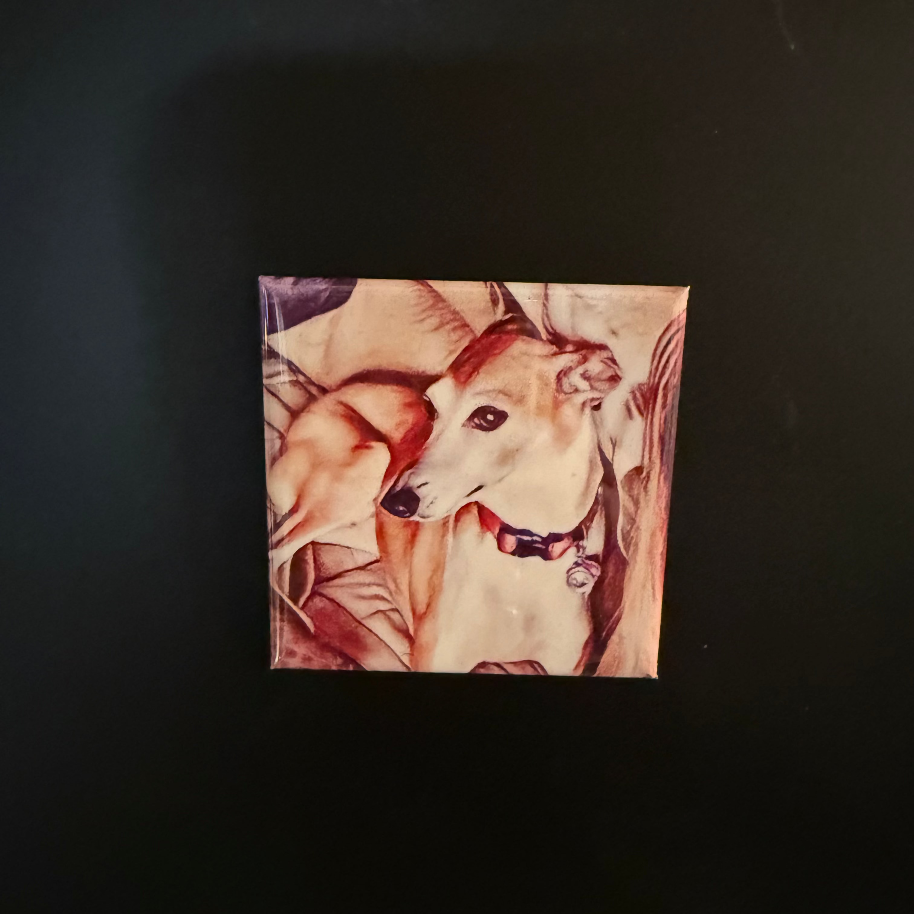 Custom Photo Magnets – Set of 2