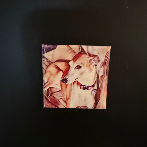 Custom Photo Magnets – Set of 2