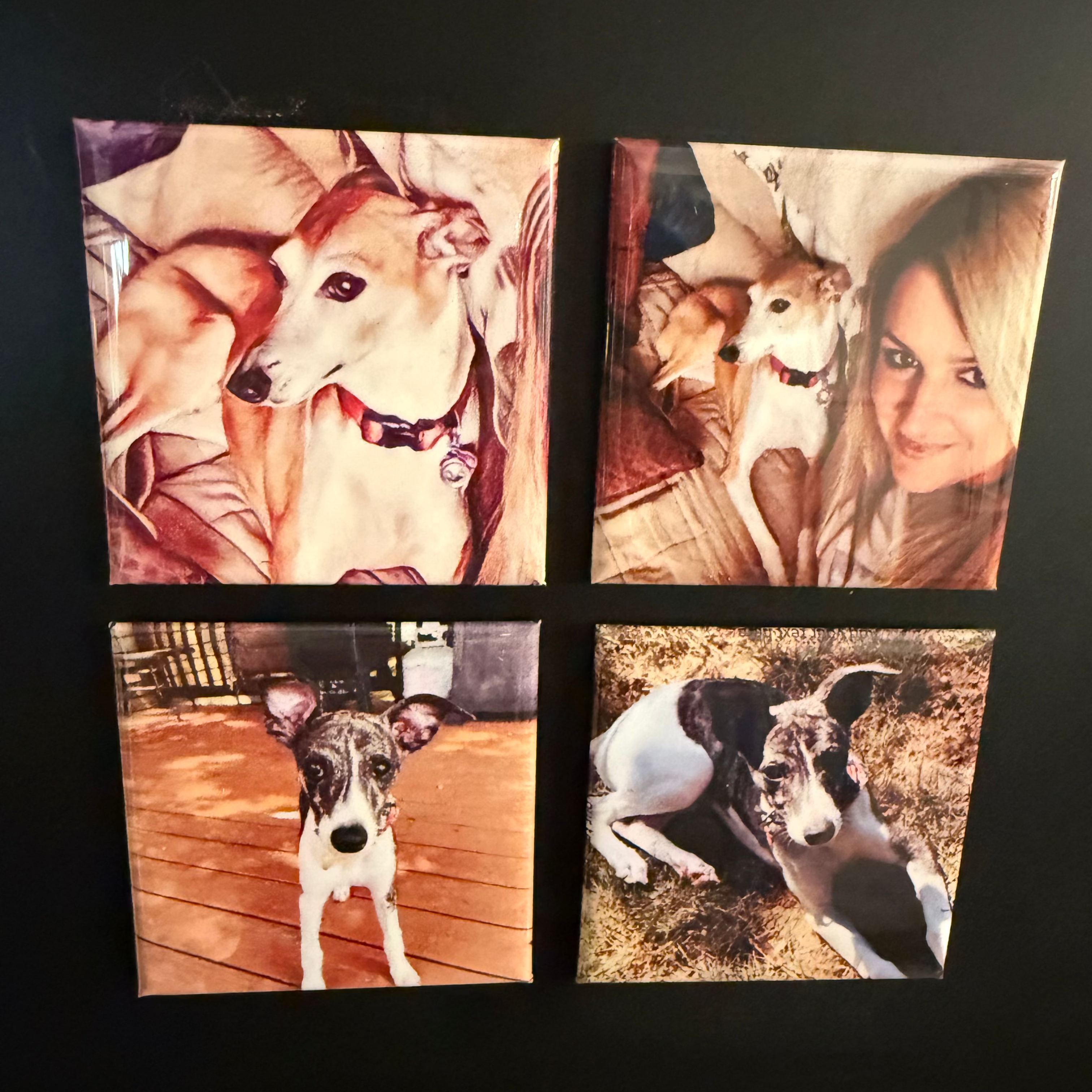 Set of 4 Magnets